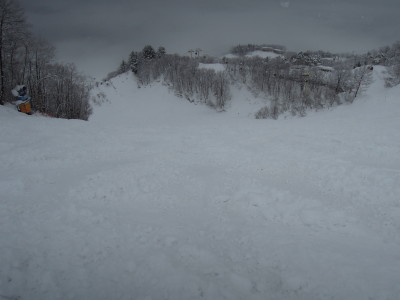 DSCN4284_1.jpg