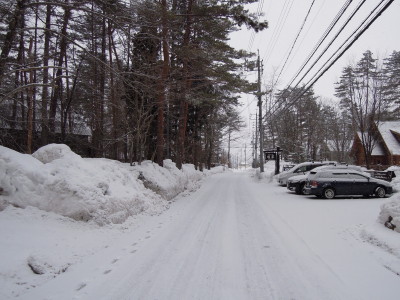 DSCN4294.jpg