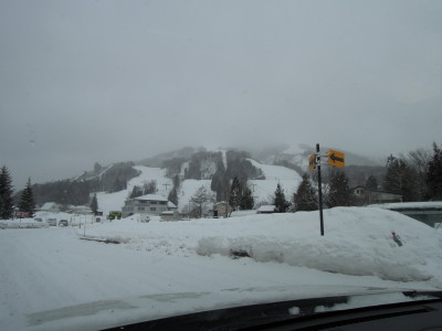 DSCN4295.jpg