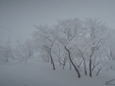 DSCN4310.jpg