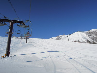 DSCN4481.jpg