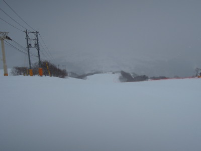 DSCN4498.jpg