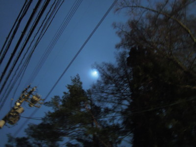 DSCN4867.jpg