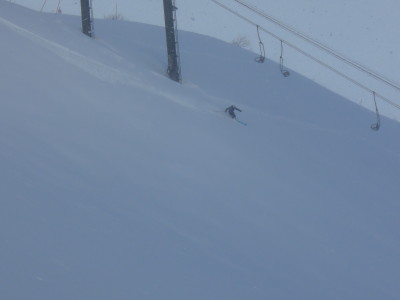 DSCN5537.jpg