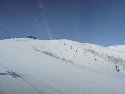 DSCN7858.jpg
