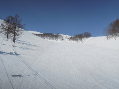 DSCN7860.jpg