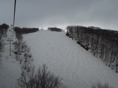 DSCN7883_1.jpg