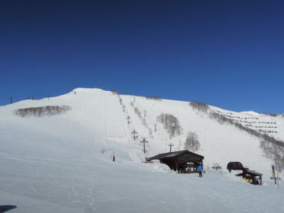 DSCN7905.jpg