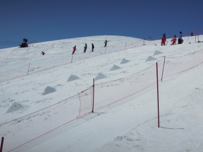 DSCN7956.jpg