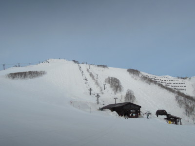 DSCN8244_1.jpg