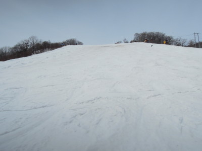 DSCN8312_1.jpg