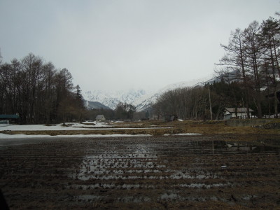 DSCN8322_1.jpg