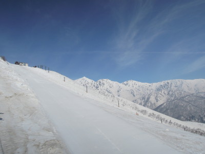 DSCN8443.jpg