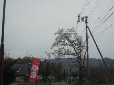 DSCN8784.jpg