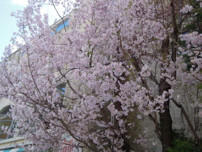 DSCN8989.jpg
