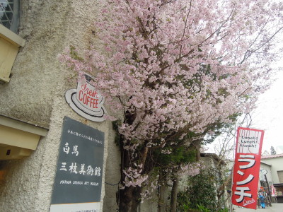 DSCN9039.jpg