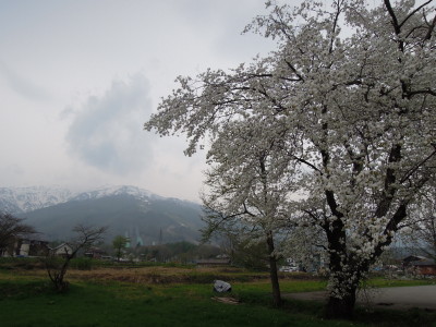 DSCN9110_1.jpg