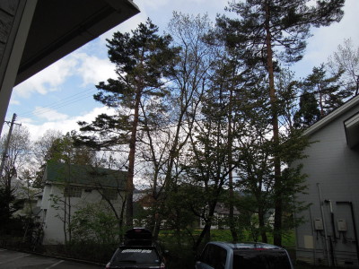 DSCN9119_1.jpg