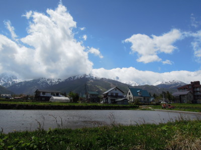 DSCN9139_1.jpg