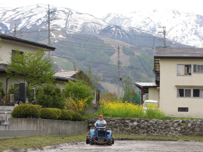 DSCN9175.jpg