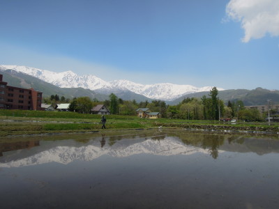DSCN9229.jpg