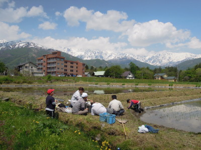 DSCN9579_1.jpg