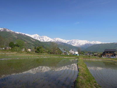 DSCN9594_1.jpg