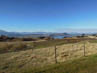 DSCN1185.jpg