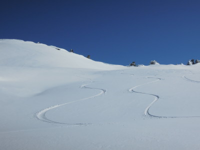 DSCN7647_1.jpg
