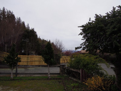 DSCN7849_1.jpg
