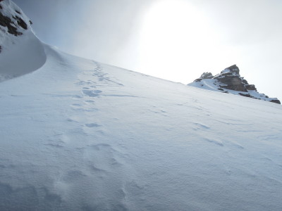 DSCN7921.jpg
