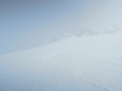 DSCN7937.jpg