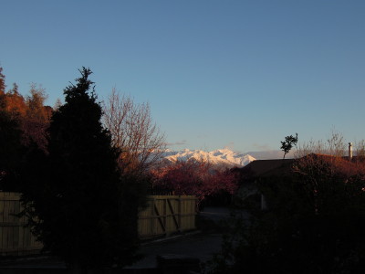 DSCN8056_1.jpg