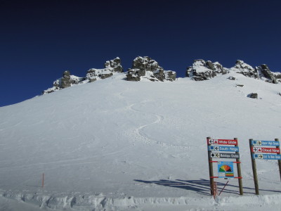 DSCN8098_1.jpg