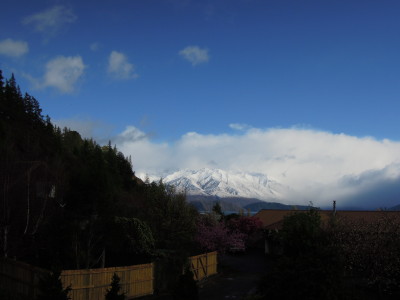 DSCN0294_1.jpg