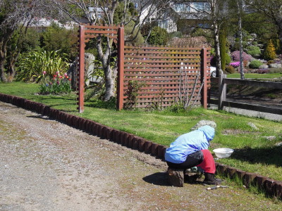 DSCN0311_1.jpg