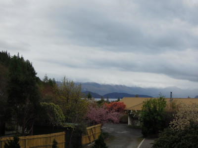DSCN0358_1.jpg