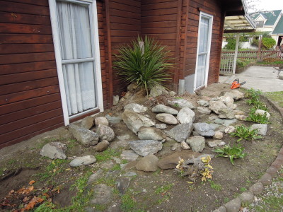 DSCN0393_1.jpg