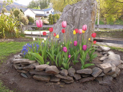 DSCN0434_1.jpg