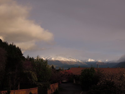 DSCN0651_1.jpg