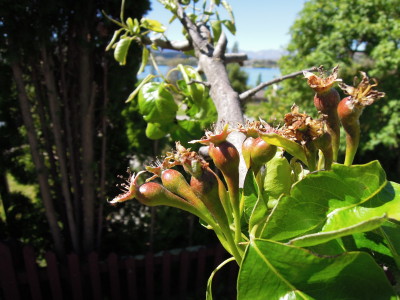 DSCN1008_1.jpg