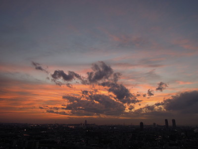 DSCN1398_1.jpg
