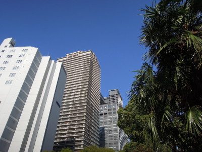 DSCN1550_1.jpg