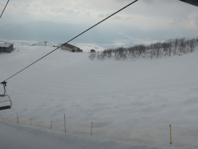 DSCN8313_1.jpg