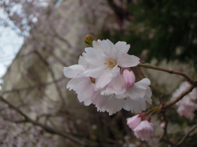 DSCN2044_1.jpg